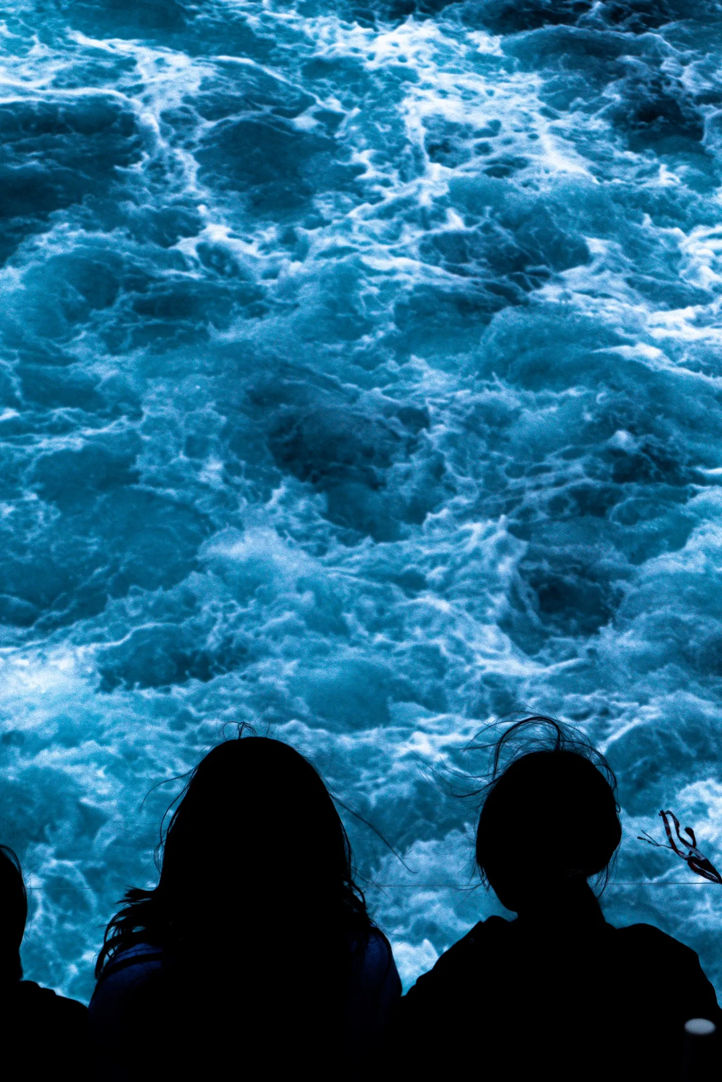 Silhouetted passengers look down at turbulent cobalt water