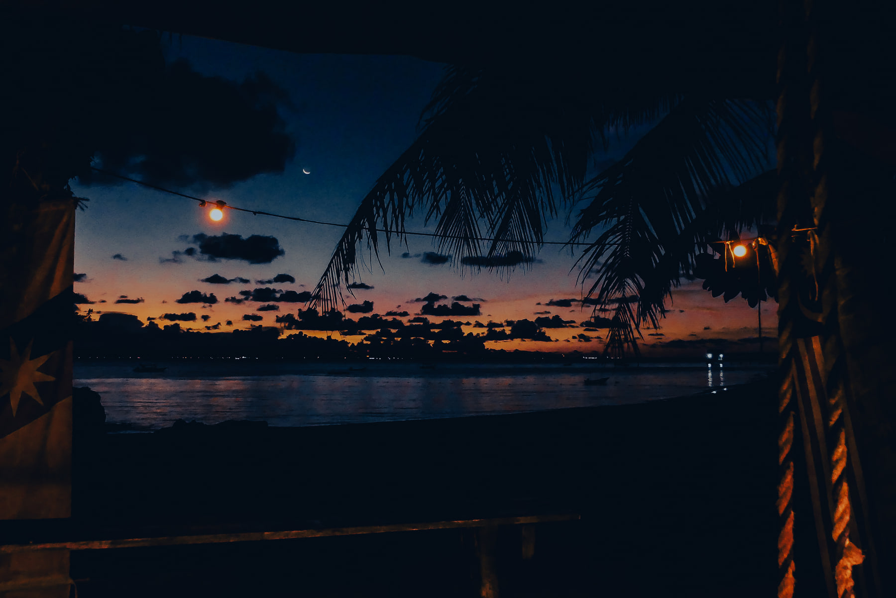 Palm fronds and two hanging lamps against a deep blue sky after sunset, with lights along a distant shore.
