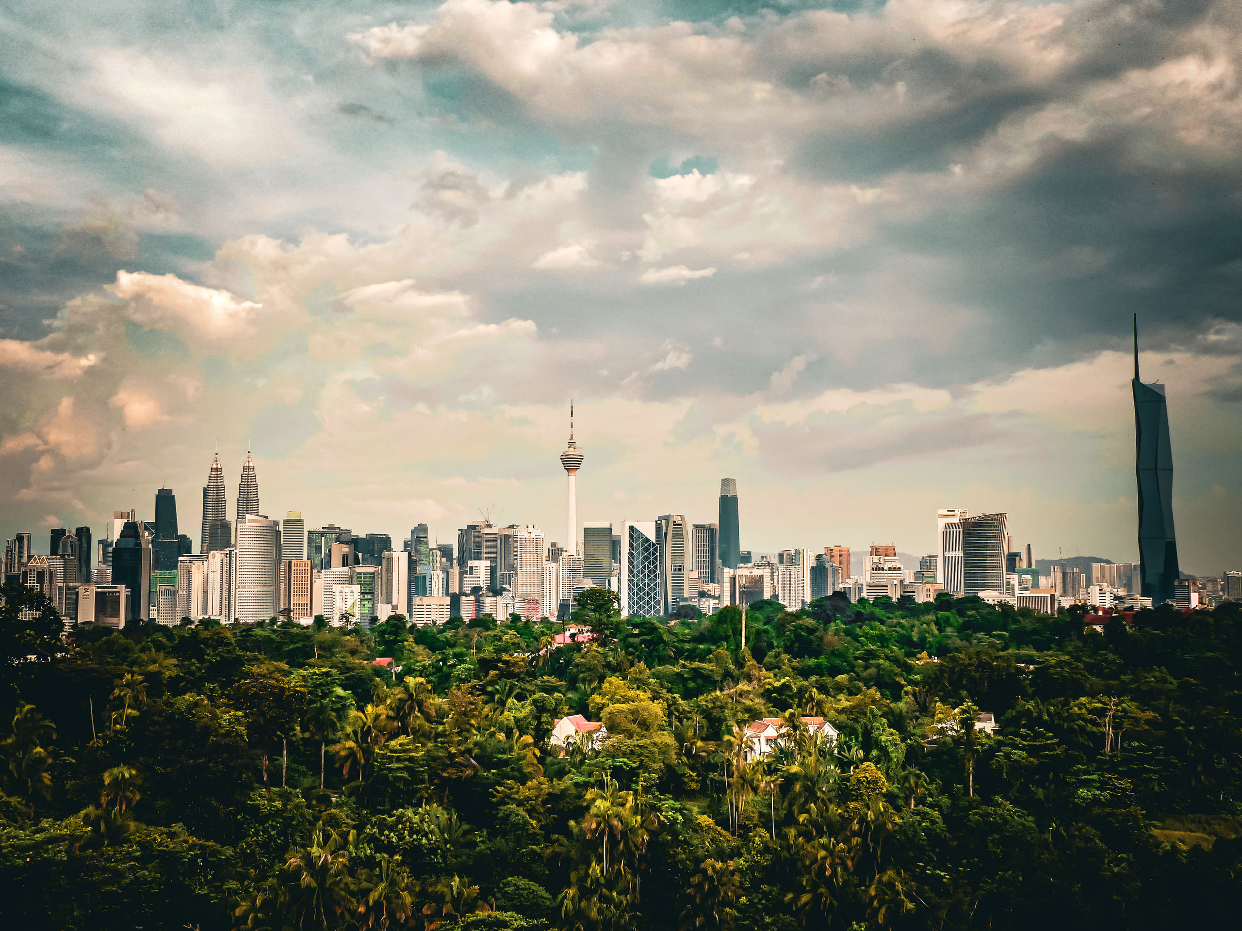 A city skyline of towers rising beyond a dense tree canopy.