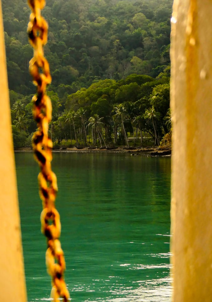 A rusted chain hangs between posts above green water and a wooded shore.