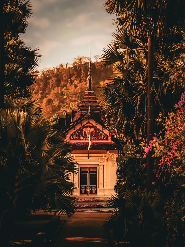 A narrow temple roof and spire rise between dense palms in warm late light.