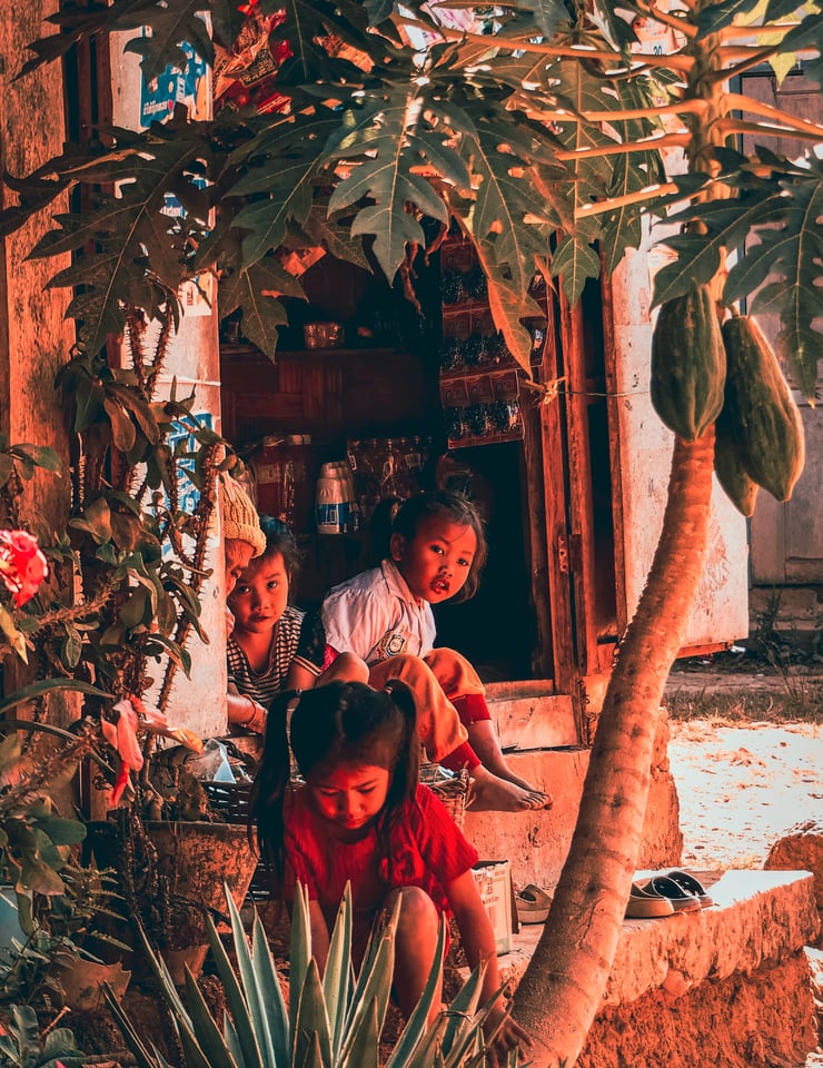 Children sit in a doorway beside a papaya tree.