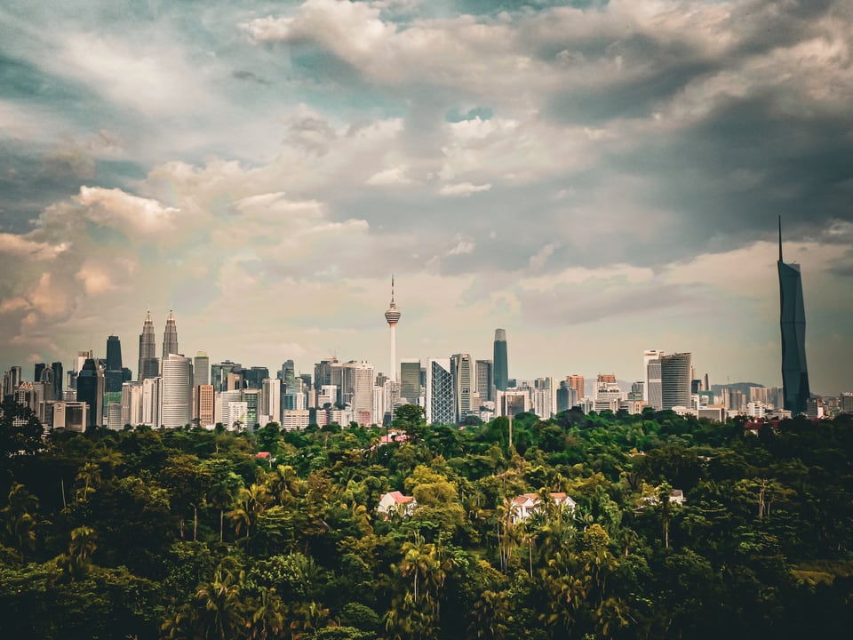 A skyline of towers stands beyond a belt of green treetops.