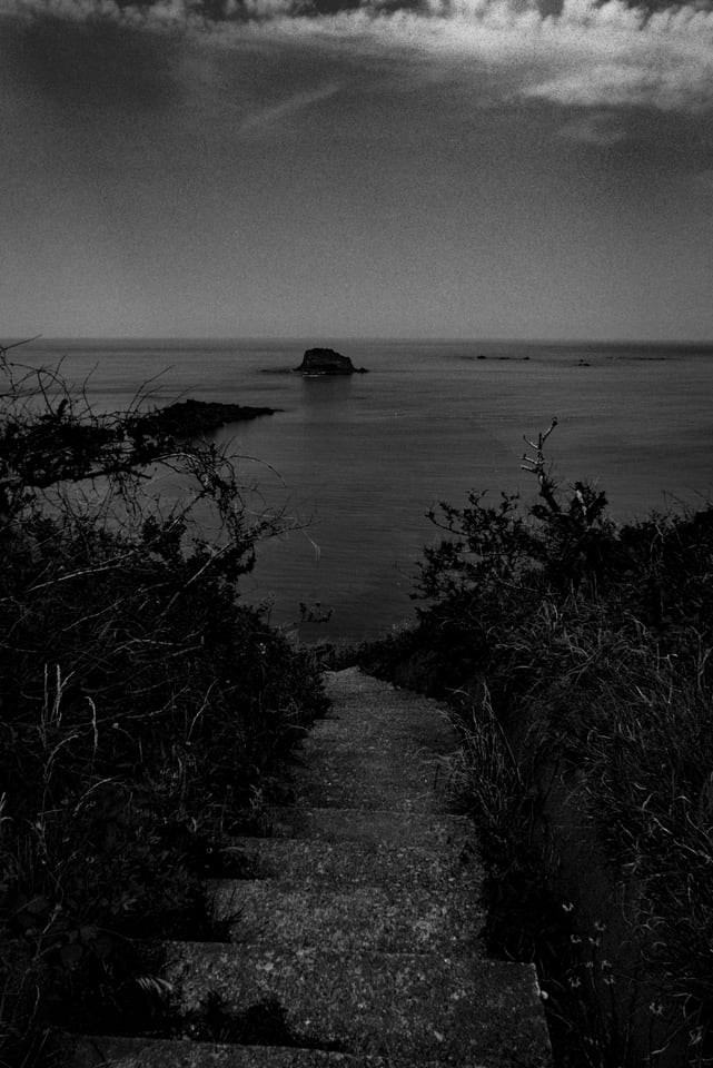 A stepped path descends through scrub toward a flat grey sea.
