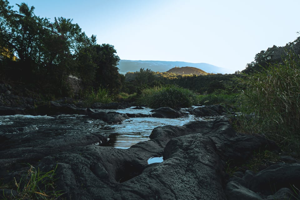 A shallow river runs over dark rock between dense green banks.