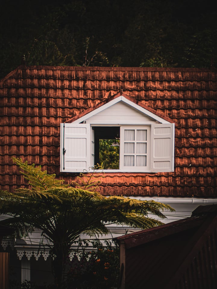 A white dormer window set into a red tile roof above a palm.