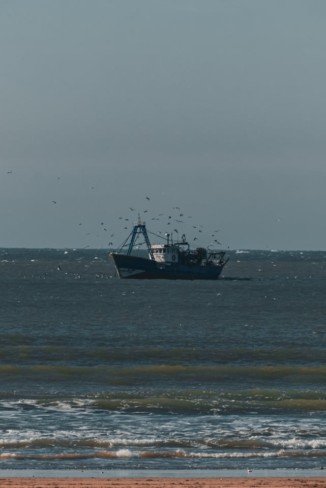 A fishing boat works offshore beneath a cloud of following birds.