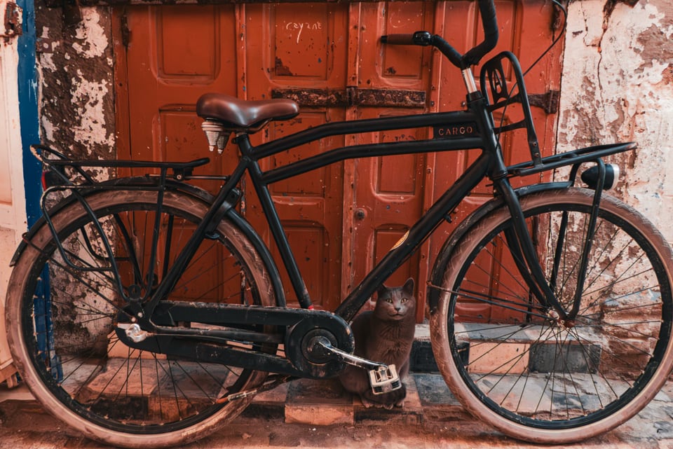 A black bicycle rests against a battered orange door, a cat sitting beneath the frame.