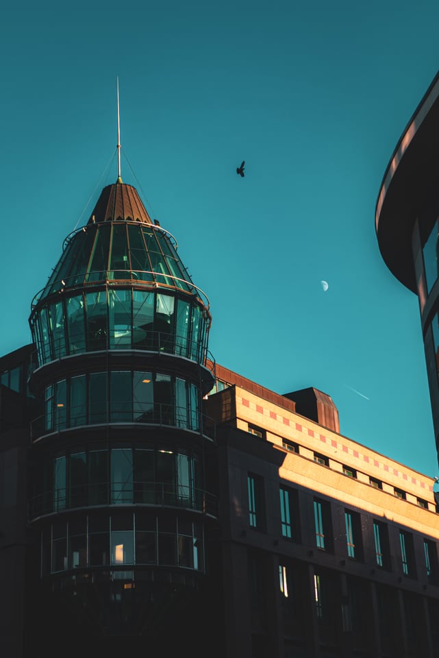 A glass rotunda meets a curved dark facade, with a bird and a small moon above.